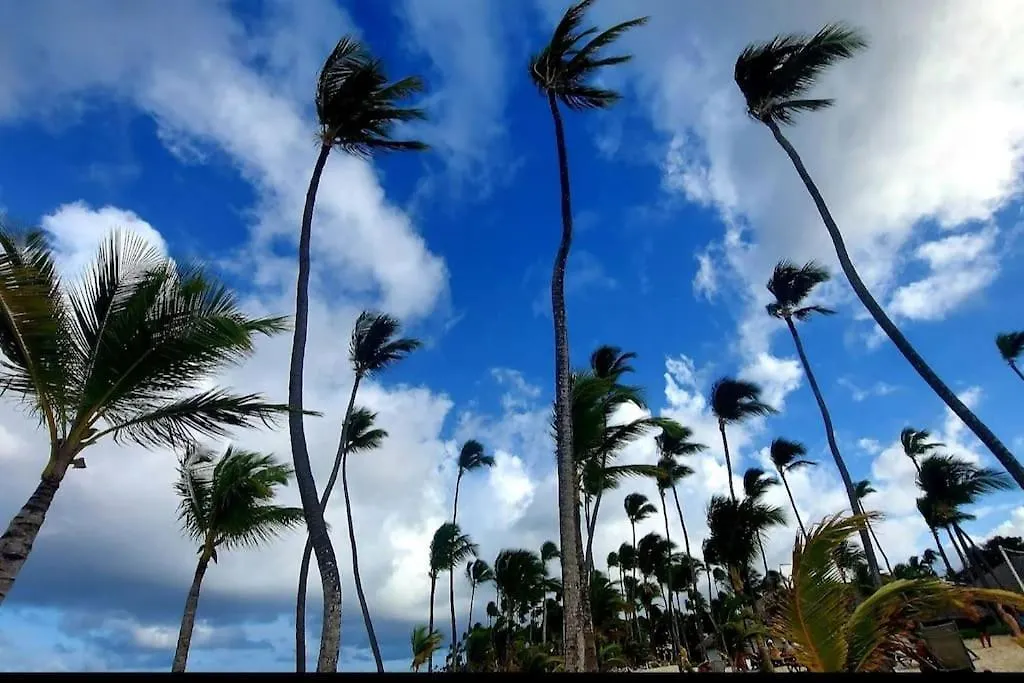Ark Villa Punta Cana